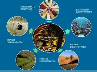 BIODIBERTSITATEA
PAISAIA
DIBERTSITATEA
EKOSISTEMA
DIBERTSITATEA
DIBERTSITATE
GENETIKOA
ESPEZIE
DIBERTSITATEA
HABITAT
DIBER...