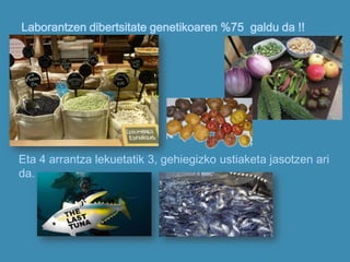 Laborantzen dibertsitate genetikoaren %75 galdu da !!
Eta 4 arrantza lekuetatik 3, gehiegizko ustiaketa jasotzen ari
da.
 
