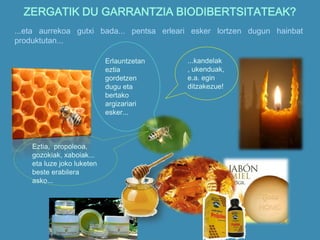 ZERGATIK DU GARRANTZIA BIODIBERTSITATEAK?
...eta aurrekoa gutxi bada... pentsa erleari esker lortzen dugun hainbat
produktutan...
Erlauntzetan
eztia
gordetzen
dugu eta
bertako
argizariari
esker...
...kandelak
, ukenduak,
e.a. egin
ditzakezue!
Eztia, propoleoa,
gozokiak, xaboiak...
eta luze joko luketen
beste erabilera
asko...
 