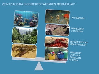 ZEINTZUK DIRA BIODIBERTSITATEAREN MEHATXUAK?
 
