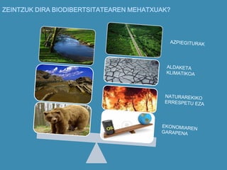 ZEINTZUK DIRA BIODIBERTSITATEAREN MEHATXUAK?
 