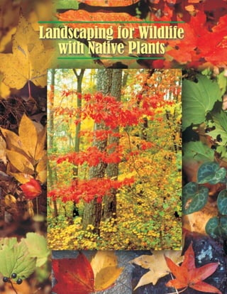 Landscaping for Wildlife With Native Plants - North Carolina State University