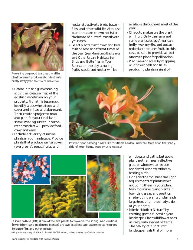 Landscaping for Wildlife With Native Plants - North ...