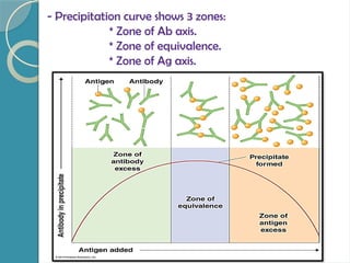 - Precipitation curve shows 3 zones:
* Zone of Ab axis.
* Zone of equivalence.
* Zone of Ag axis.
 