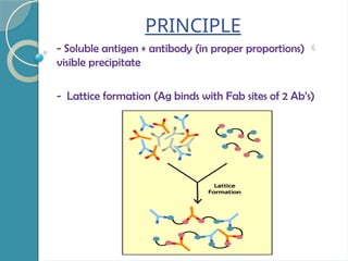 PRINCIPLE
- Soluble antigen + antibody (in proper proportions) 
visible precipitate
- Lattice formation (Ag binds with Fab sites of 2 Ab’s)
 
