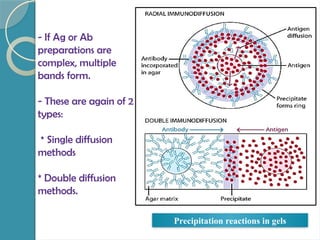 - If Ag or Ab
preparations are
complex, multiple
bands form.
- These are again of 2
types:
* Single diffusion
methods
* Double diffusion
methods.
Precipitation reactions in gels
 