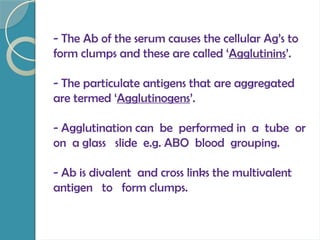 - The Ab of the serum causes the cellular Ag’s to
form clumps and these are called ‘Agglutinins’.
- The particulate antigens that are aggregated
are termed ‘Agglutinogens’.
- Agglutination can be performed in a tube or
on a glass slide e.g. ABO blood grouping.
- Ab is divalent and cross links the multivalent
antigen to form clumps.
 