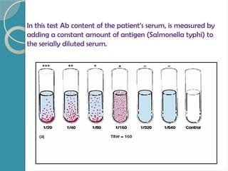 In this test Ab content of the patient’s serum, is measured by
adding a constant amount of antigen (Salmonella typhi) to
the serially diluted serum.
 