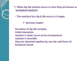 - When Ag-Ab reaction occurs in-vitro they are known as
‘serological reactions’.
- The reactions b/w Ag & Ab occurs in 3 stages:
1st
(primary stage)=
formation of Ag-Ab complex.
Initial interaction
reaction is rapid, occurs at low temperature
reaction is reversible
they are attached together by van der wall force, h2
bond,ionic bonds
 