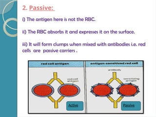 2. Passive:
i) The antigen here is not the RBC.
ii) The RBC absorbs it and expresses it on the surface.
iii) It will form clumps when mixed with antibodies i.e. red
cells are passive carriers .
Active Passive
 