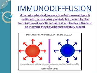 IMMUNODIFFFUSION
Atechniqueforstudyingreactionsbetweenantigens&
antibodiesby observing precipitates formed by the
combination of specific antigens & antibodies diffused in
gelin which theyhavebeenseparately placed.
 