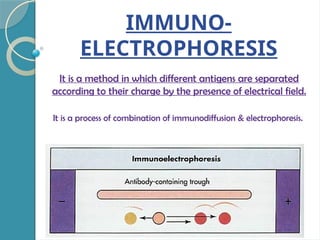 IMMUNO-
ELECTROPHORESIS
It is a method in which different antigens are separated
according to their charge by the presence of electrical field.
It is a process of combination of immunodiffusion & electrophoresis.
 