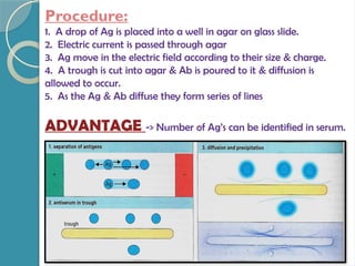 Procedure:
1. A drop of Ag is placed into a well in agar on glass slide.
2. Electric current is passed through agar
3. Ag move in the electric field according to their size & charge.
4. A trough is cut into agar & Ab is poured to it & diffusion is
allowed to occur.
5. As the Ag & Ab diffuse they form series of lines
ADVANTAGE -> Number of Ag’s can be identified in serum.
 