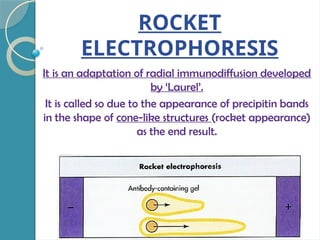 ROCKET
ELECTROPHORESIS
It is an adaptation of radial immunodiffusion developed
by ‘Laurel’.
It is called so due to the appearance of precipitin bands
in the shape of cone-like structures (rocket appearance)
as the end result.
 