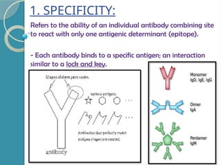 1. SPECIFICITY:
Refers to the ability of an individual antibody combining site
to react with only one antigenic determinant (epitope).
- Each antibody binds to a specific antigen; an interaction
similar to a lock and key.
 