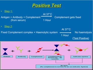 Ag Ab Reaction Ii Final | PPT