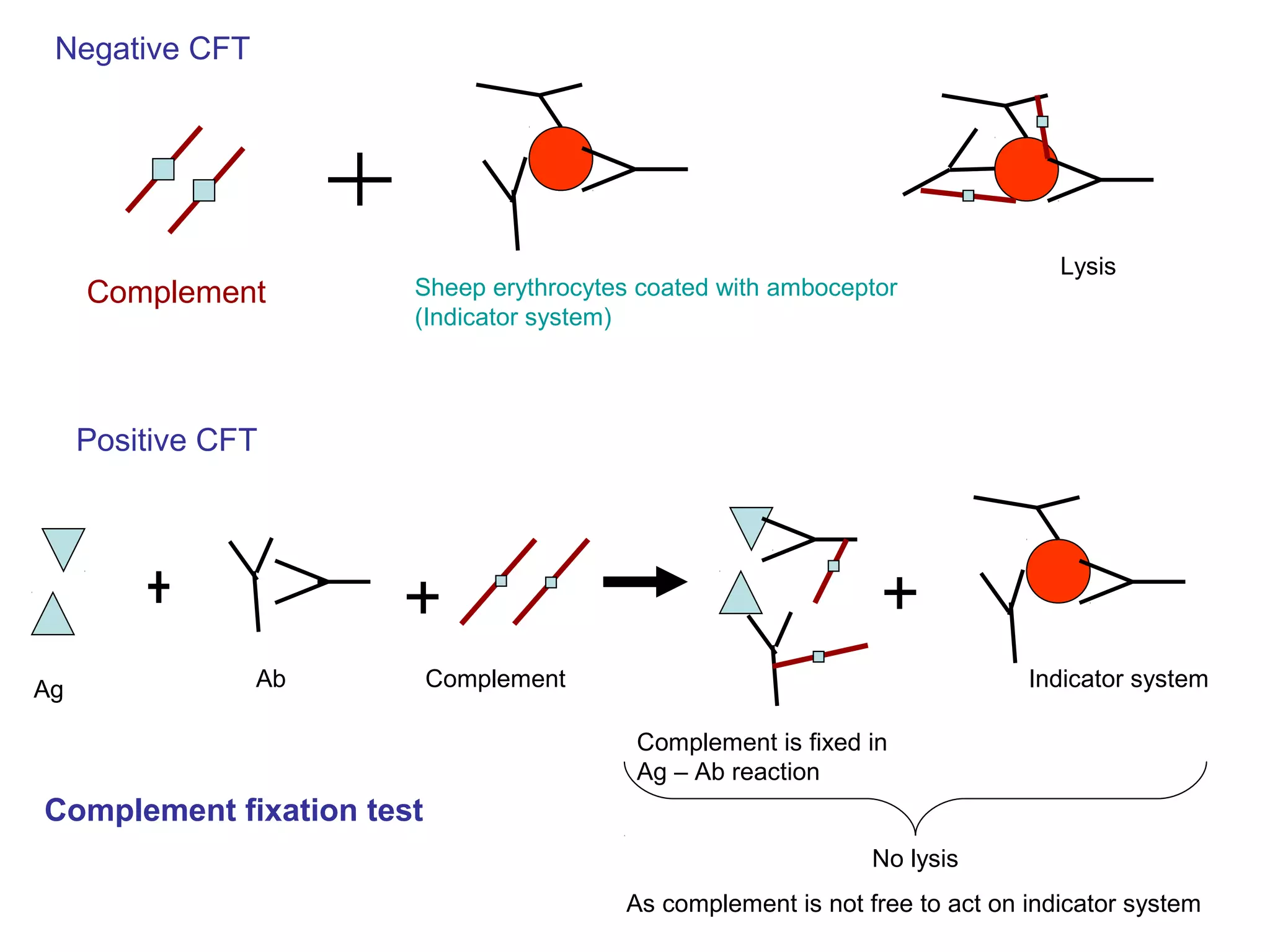 Ag ab reactions and clinical utility | PPT