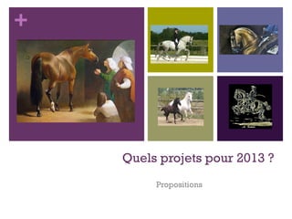 +




    Quels projets pour 2013 ?
         Propositions
 