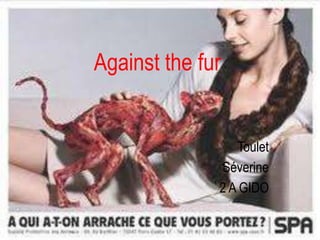 Against the fur


                 Toulet
              Séverine
              2 A GIDO
 