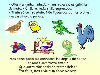 - Olhem a minha ninhada! - mostrava ela às galinhas
do mato. - É tão variada e tão engraçada.
- Trata só do teu pinto. Não ligues aos outros bichos.
- aconselhava a perdiz.




Mas como podia ela abandoná-los depois de os ter
           chocado com tanto amor ?
     Que outra mãe havia de tratar deles?
     Era feliz, mas vivia num desassossego.
 