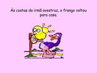Às costas da irmã avestruz, o frango voltou
                para casa.
 