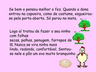 Se bem o pensou melhor o fez. Quando a dona
entrou na capoeira, como de costume, esgueirou-
se pela porta aberta. Só parou na mata.


Logo aí tratou de fazer o seu ninho
com folhas
secas, palhas, penugem, farrapos de
lã. Nunca se vira ninho mais
lindo, redondo, confortável. Sentou-
se nele e pôs um ovo muito branquinho
 
