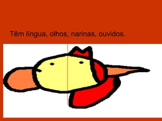 Têm língua, olhos, narinas, ouvidos.
 