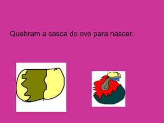 Quebram a casca do ovo para nascer.
 