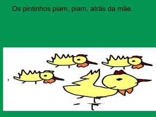 Os pintinhos piam, piam, atrás da mãe.
 