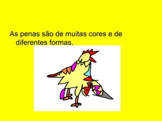 As penas são de muitas cores e de
diferentes formas.
 