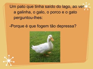 Um pato que tinha saído do lago, ao ver a galinha, o galo, o porco e o gato perguntou-lhes: -Porque é que fogem tão depressa? 