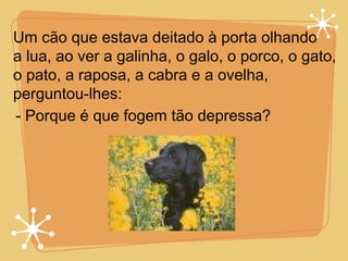 Um cão que estava deitado à porta olhando a lua, ao ver a galinha, o galo, o porco, o gato,  o pato, a raposa, a cabra e a ovelha,  perguntou-lhes: - Porque é que fogem tão depressa? 