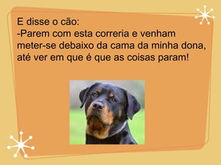 E disse o cão: -Parem com esta correria e venham meter-se debaixo da cama da minha dona, até ver em que é que as coisas param! 