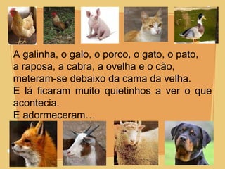 A galinha, o galo, o porco, o gato, o pato,  a raposa, a cabra, a ovelha e o cão, meteram-se debaixo da cama da velha. E lá ficaram muito quietinhos a ver o que acontecia. E adormeceram… 