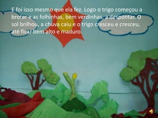 E foi isso mesmo que ela fez. Logo o trigo começou a brotar e as folhinhas, bem verdinhas, a despontar. O sol brilhou, a chuva caiu e o trigo cresceu e cresceu, até ficar bem alto e maduro.