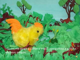 - Quem me ajuda a colher o trigo? - perguntou a galinha aos seus amigos.