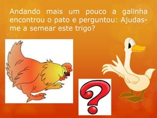 Andando mais um pouco a galinha
encontrou o pato e perguntou: Ajudas-
me a semear este trigo?
 