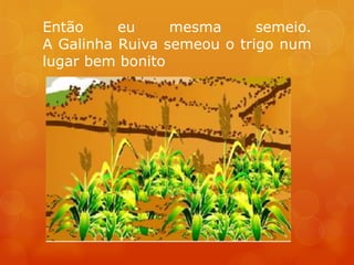 Então     eu     mesma      semeio.
A Galinha Ruiva semeou o trigo num
lugar bem bonito
 