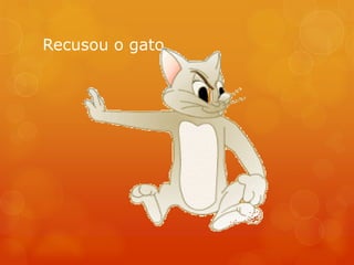 Recusou o gato
 