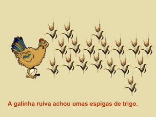 A galinha ruiva achou umas espigas de trigo. 
 