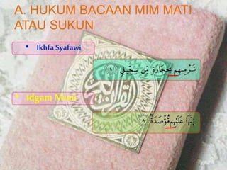 A. HUKUM BACAAN MIM MATI
ATAU SUKUN
• IkhfaSyafawi
• Idgam Mimi
 