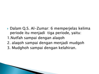 Dalam Q.S. Al-Zumar: 6 memperjelas kelima
 periode itu menjadi tiga periode, yaitu:
1.Nutfah sampai dengan alaqoh
2. alaqoh sampai dengan menjadi mudgoh
3. Mudghoh sampai dengan kelahiran.
 