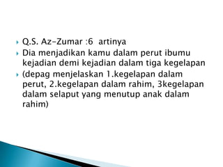    Q.S. Az-Zumar :6 artinya
   Dia menjadikan kamu dalam perut ibumu
    kejadian demi kejadian dalam tiga kegelapan
   (depag menjelaskan 1.kegelapan dalam
    perut, 2.kegelapan dalam rahim, 3kegelapan
    dalam selaput yang menutup anak dalam
    rahim)
 