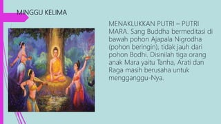 MINGGU KELIMA
MENAKLUKKAN PUTRI – PUTRI
MARA. Sang Buddha bermeditasi di
bawah pohon Ajapala Nigrodha
(pohon beringin), tidak jauh dari
pohon Bodhi. Disinilah tiga orang
anak Mara yaitu Tanha, Arati dan
Raga masih berusaha untuk
mengganggu-Nya.
 