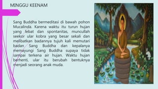 MINGGU KEENAM
Sang Buddha bermeditasi di bawah pohon
Mucalinda. Karena waktu itu turun hujan
yang lebat dan spontanitas, muncullah
seekor ular kobra yang besar sekali dan
melibatkan badannya tujuh kali memutari
badan Sang Buddha dan kepalanya
memayungi Sang Buddha supaya tidak
sampai terkena air hujan. Waktu hujan
berhenti, ular itu berubah bentuknya
menjadi seorang anak muda.
 
