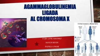 AGAMMAGLOBULINEMIA
LIGADA
AL CROMOSOMA X
CUJIA JOSE ALFONSO
MATOS KEVIN
PADILLA OMAR
 