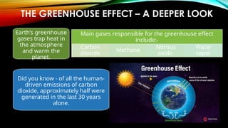 Earth’s greenhouse
gases trap heat in
the atmosphere
and warm the
planet.
Main gases responsible for the greenhouse effect
include:-
Carbon
dioxide
Methane
Nitrous
oxide
Water
vapor
THE GREENHOUSE EFFECT – A DEEPER LOOK
Did you know - of all the human-
driven emissions of carbon
dioxide, approximately half were
generated in the last 30 years
alone.
 