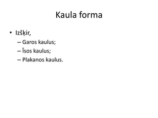 Kaula formaIzšķir,Garos kaulus;Īsos kaulus;Plakanos kaulus.