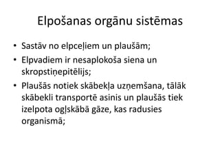 Elpošanas orgānu sistēmasSastāv no elpceļiem un plaušām;Elpvadiem ir nesaplokoša siena un skropstiņepitēlijs;Plaušās notiek skābekļa uzņemšana, tālāk skābekli transportē asinis un plaušās tiek izelpota ogļskābā gāze, kas radusies organismā;