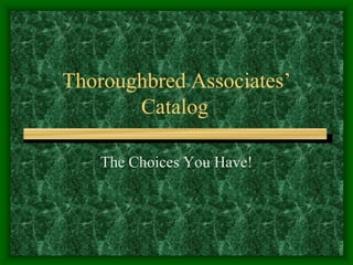 Thoroughbred Associates’ Catalog	 The Choices You Have! 